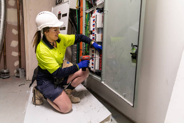 Best Electric Panel Repair  in Roselle Park, NJ